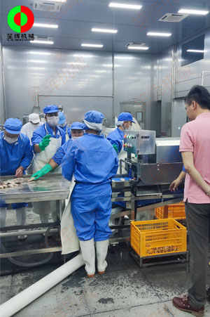 廣東中山某大型水產加工設備落成現場!